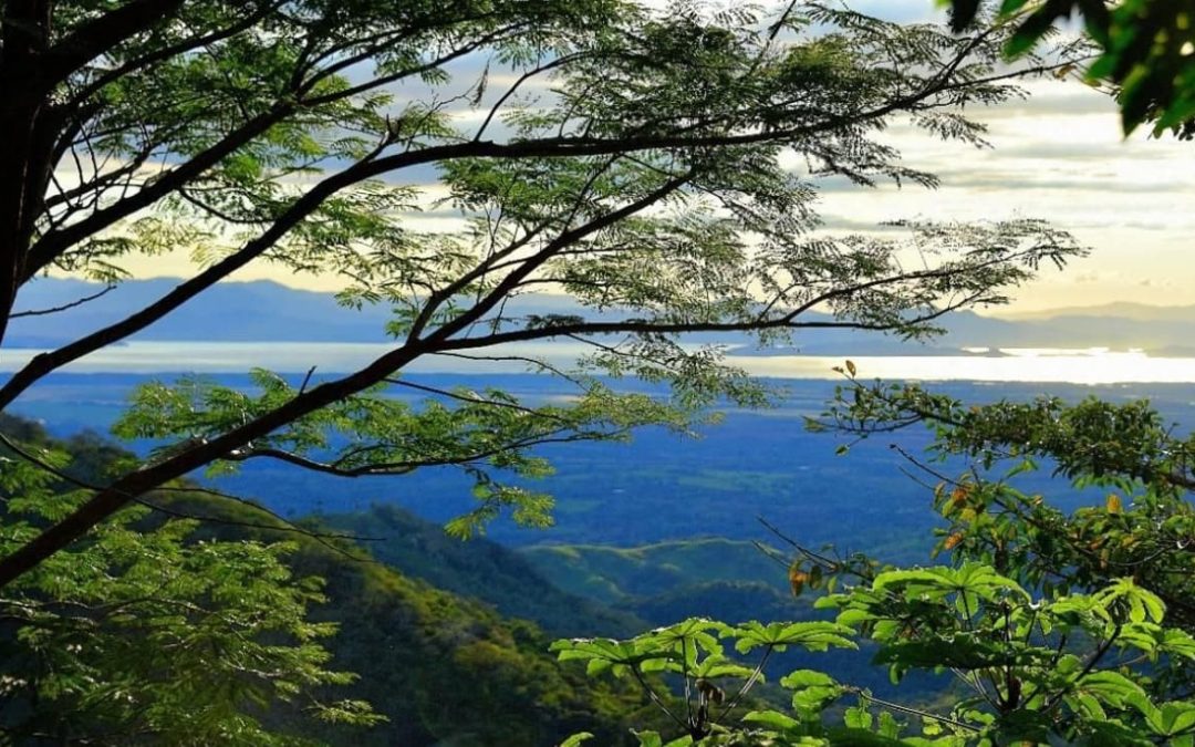 10 Razones Irresistibles para Visitar Miramar de Puntarenas